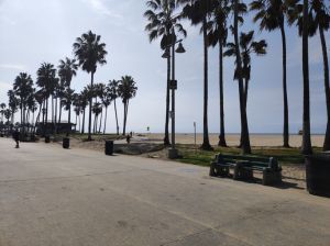 view of the palm trees on the beach in Santa Monica, California